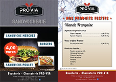 Flyer Pro-via